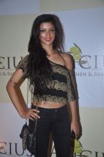 at Apicus lounge launch in Mumbai on 29th March 2012 (20).JPG